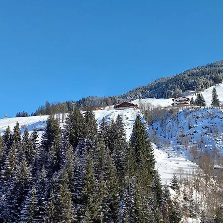 Appartementhaus Daniel * Saalbach-Hinterglemm
